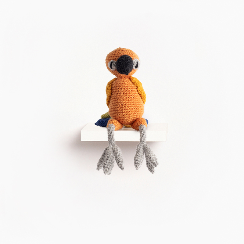 sun conure